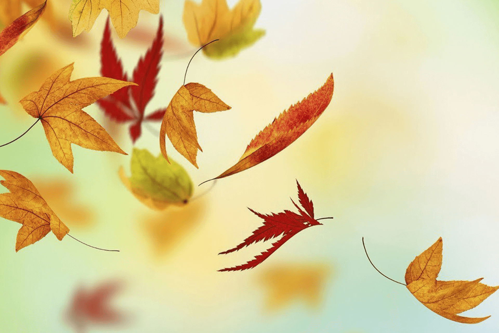 Скидки и выгодная рассрочка в ноябре!